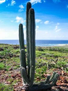 droomvakantie op Aruba 2 Droomvakantie op Aruba