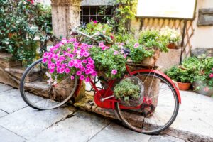 Tips voor fotograferen met je smartphone