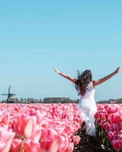 roadtrip door Noord-Holland