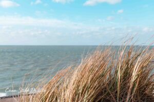 Citytrip Vlissingen