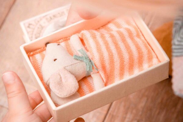 Een poppenhuis voor Nova-Mae