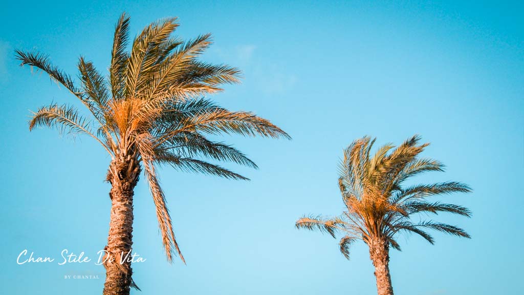 De mooiste stranden van de Algarve
