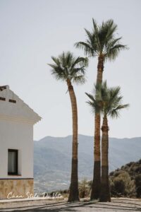 voorbereidingen voor onze roadtrip naar Noord-Spanje 3 voorbereidingen voor onze roadtrip naar Noord-Spanje